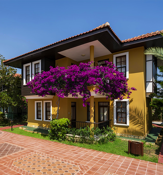 Club Dizalya